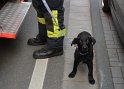 Welpen im Drehkranz vom KVB Bus eingeklemmt Koeln Chlodwigplatz P12